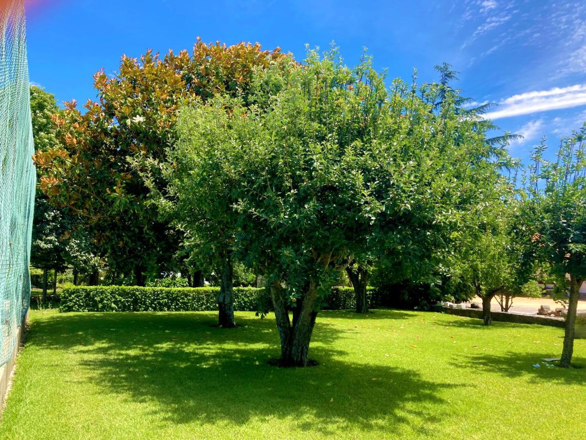 Quinta Dom Sapo - Agroturismo Viana do Castelo Ngoại thất bức ảnh