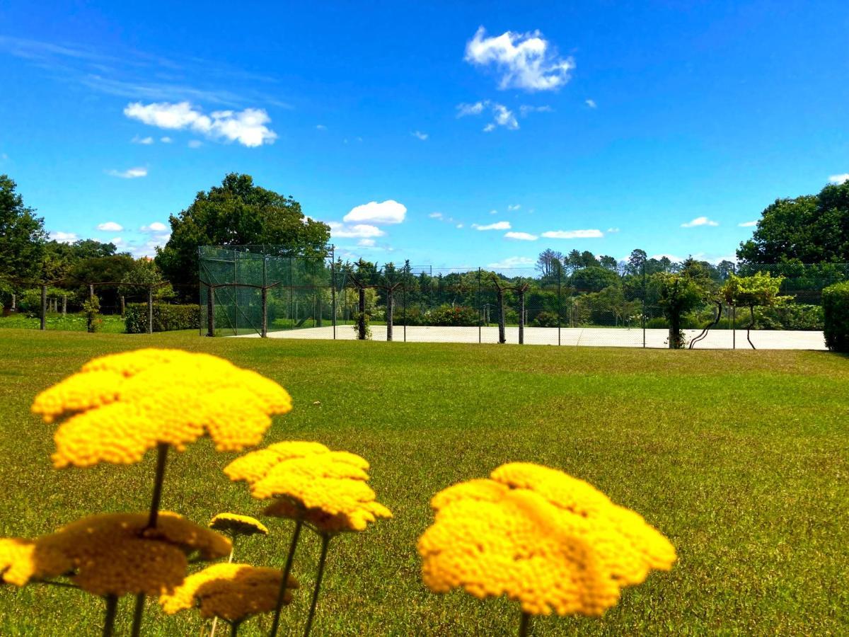 Quinta Dom Sapo - Agroturismo Viana do Castelo Ngoại thất bức ảnh