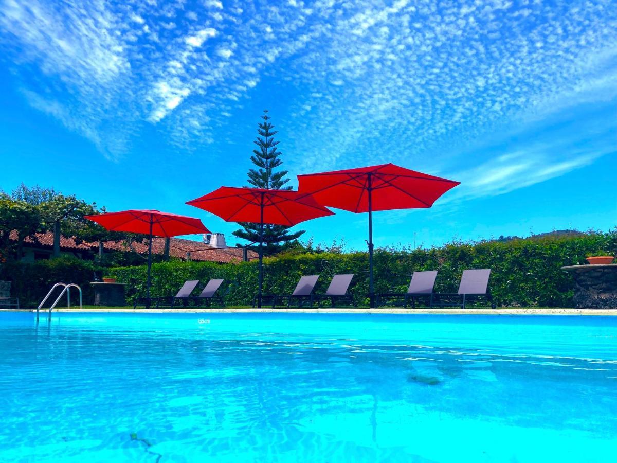 Quinta Dom Sapo - Agroturismo Viana do Castelo Ngoại thất bức ảnh